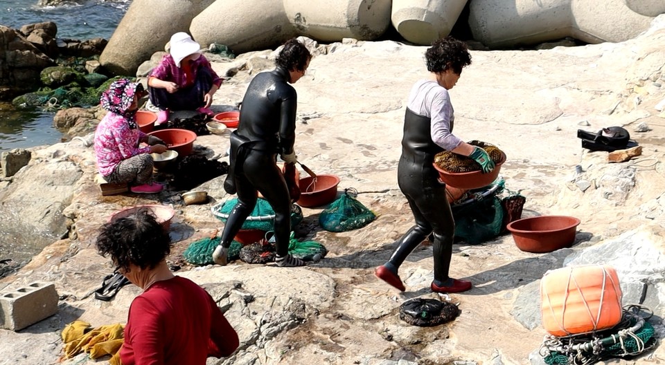 [부산출발] 제주품격여행 봄향기가득한 제주도여행  2박3일