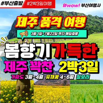 [부산출발] 제주품격여행 봄향기가득한 제주도여행  2박3일