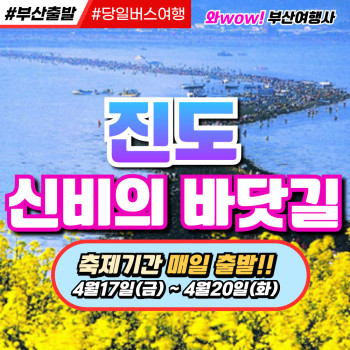 [부산출발] 진도 바닷길 축제
