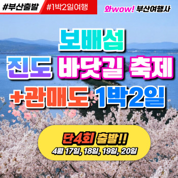 [부산출발] 보배섬 진도 바닷길 축제 + 관매도 1박2일여행