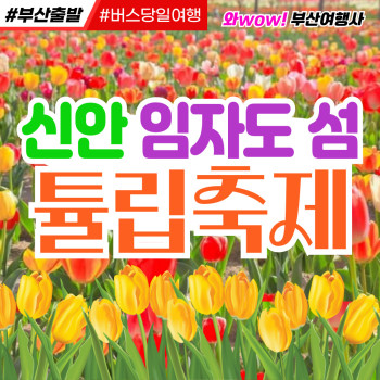 [부산출발] 신안 임자도 섬 튤립축제 대광해변 우봉 조희룡 미술관 당일투어
