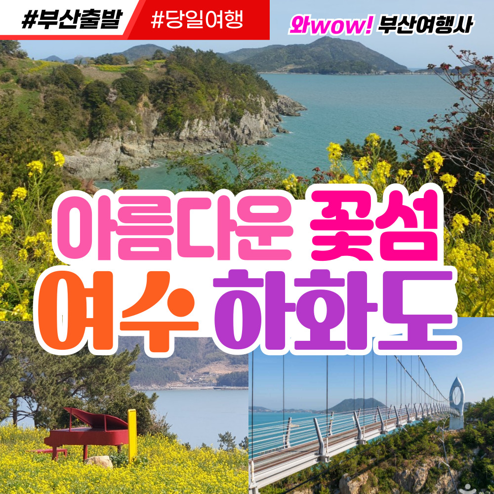 [부산출발] 여수 아름다운 꽃섬 하화도 당일투어