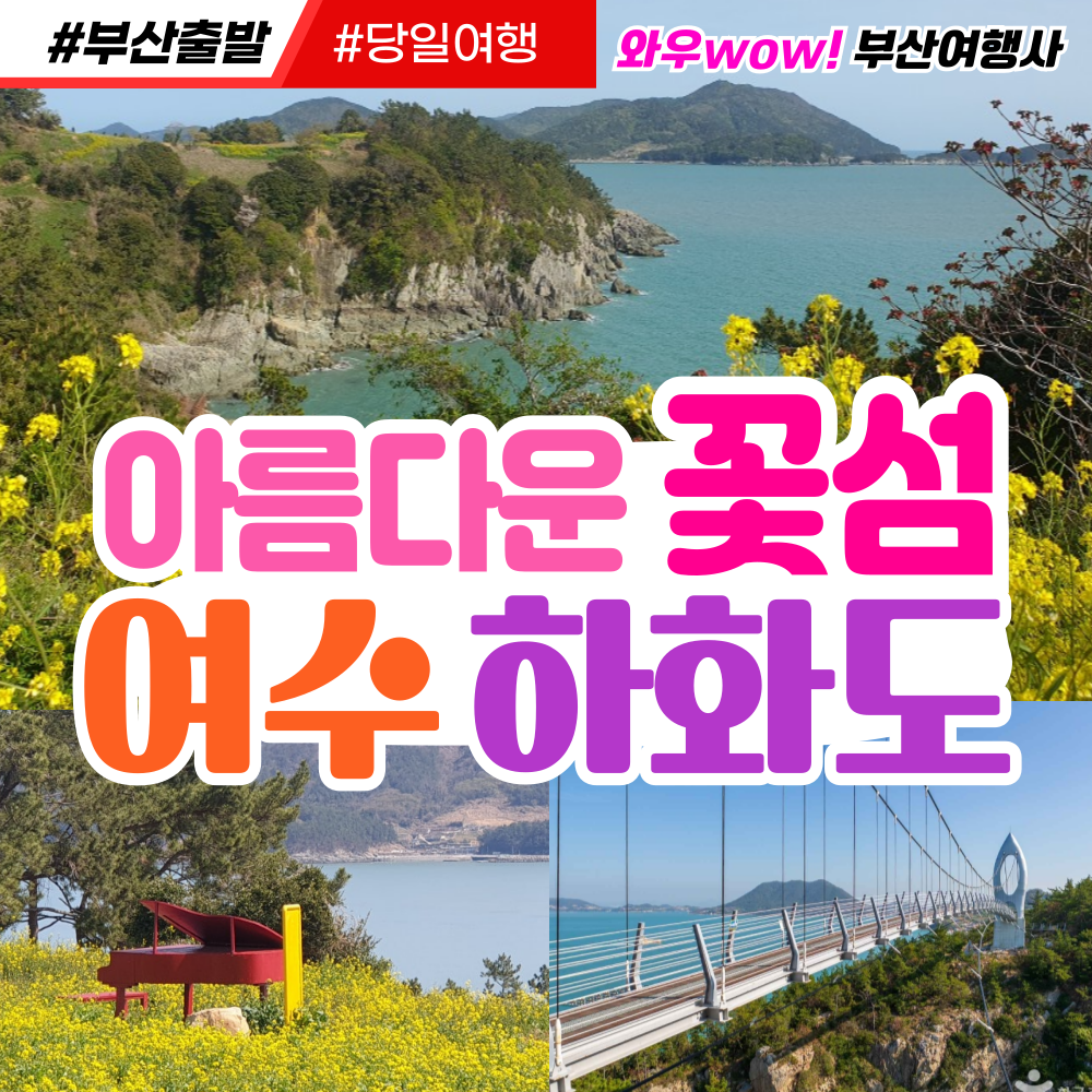 [부산출발] 여수 아름다운 꽃섬 하화도 당일투어