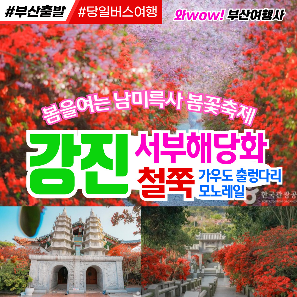 [부산출발]  강진 남미륵사 서부해당화 철쭉 봄꽃 축제 당일여행
