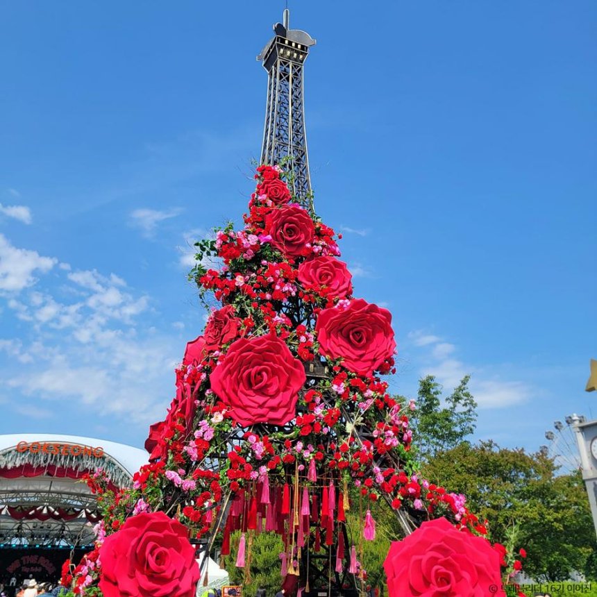 [부산출발]  곡성 세계장미축제 당일버스여행