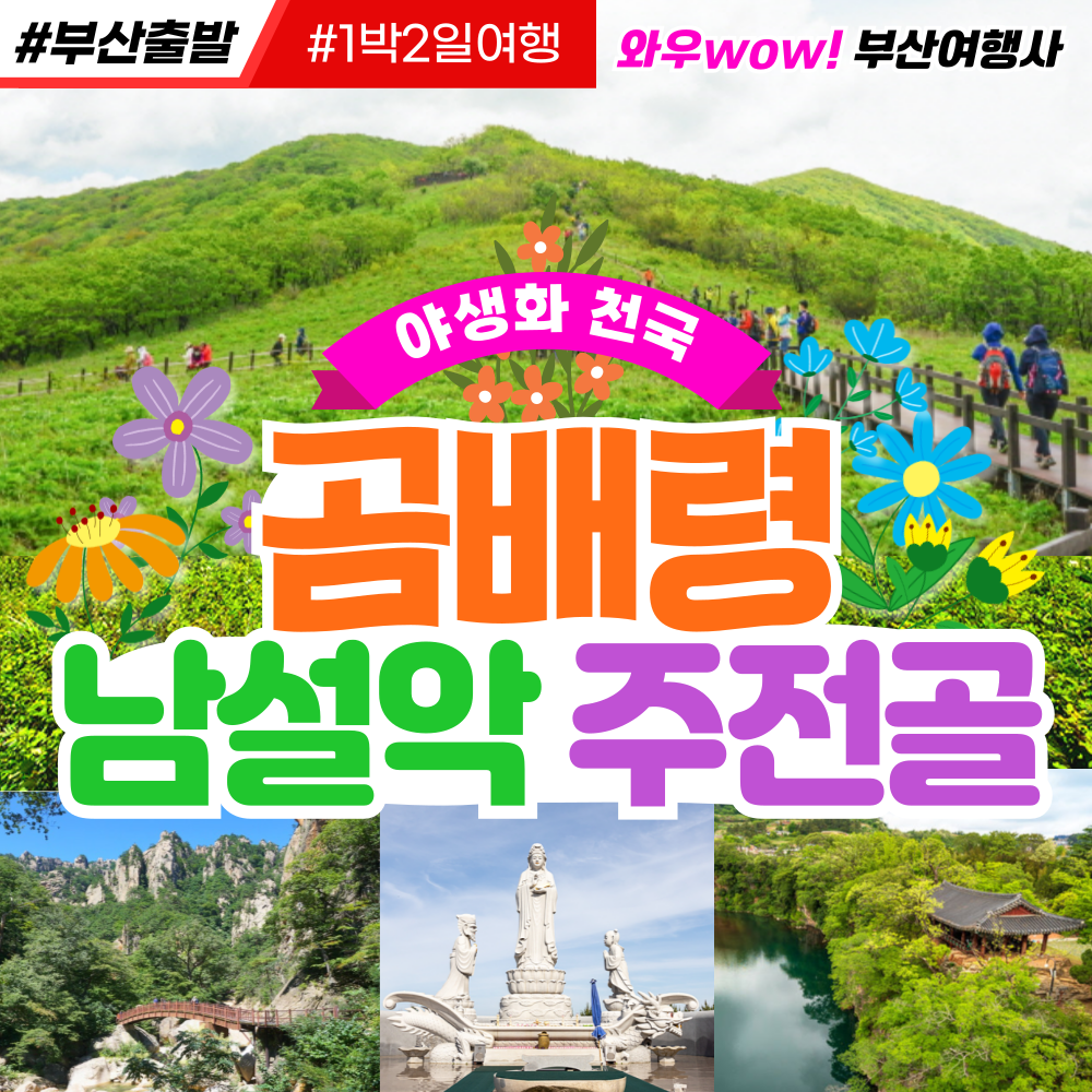 [부산출발] 야생화 천국 곰배령 + 남설악 주전골 1박2일