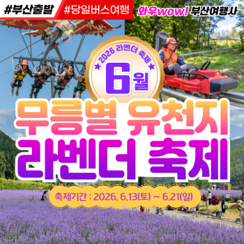 [부산출발] 동해 무릉별 유천지 라벤더 축제 당일버스여행
