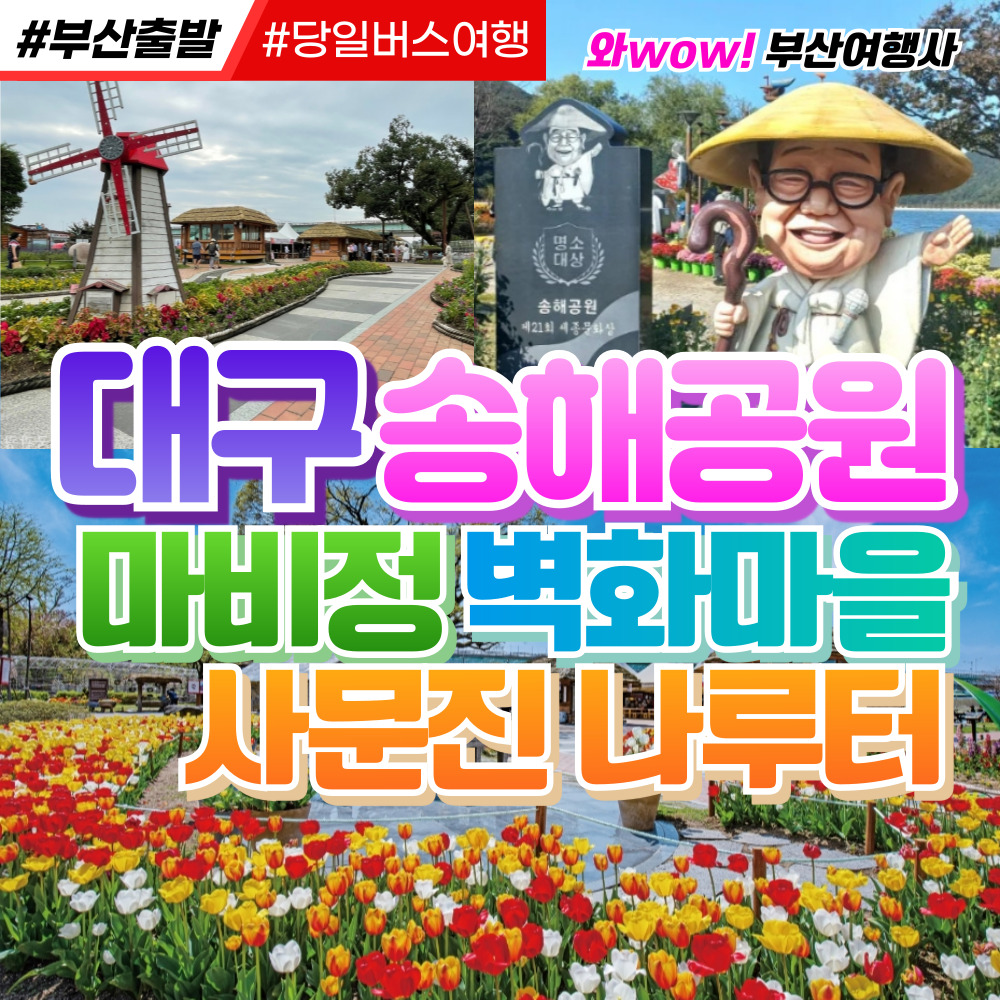 [부산출발] 대구 송해공원+마비정 벽화마을+사문진 나루터 당일버스여행