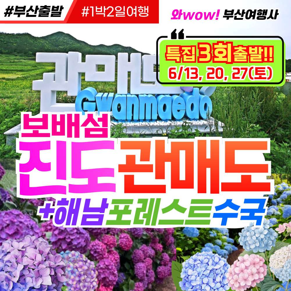 [부산출발] 다도해의 보배섬 진도 관매도 해남 포레스트 수국 1박2일 여행