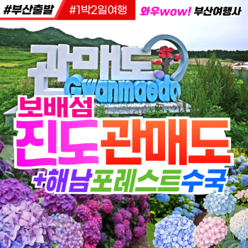 [부산출발] 다도해의 보배섬 진도 관매도 해남 포레스트 수국 1박2일 여행