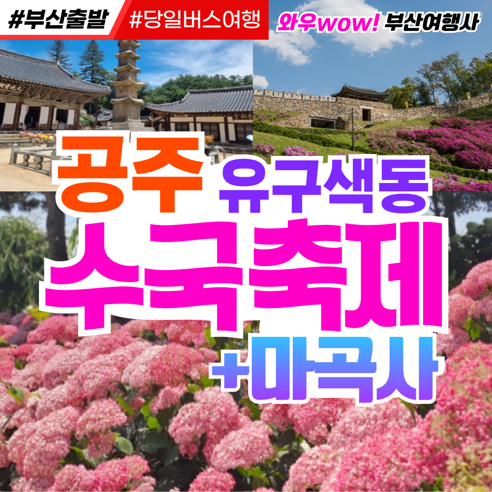 [부산출발] 공주 유구색동 수국 축제 + 마곡사 당일버스여행