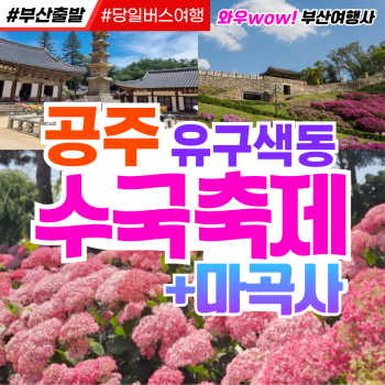 [부산출발] 공주 유구색동 수국 축제 + 마곡사 당일버스여행