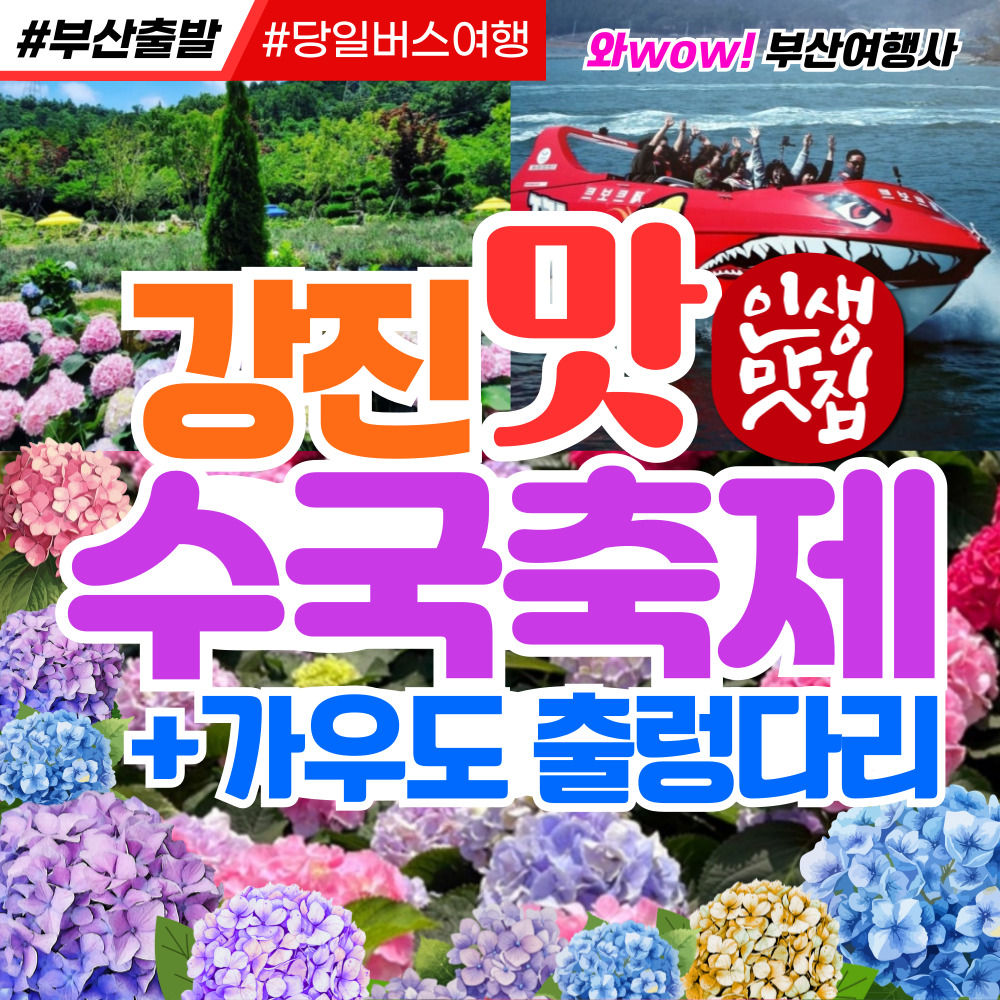 [부산출발] 강진 맛 수국축제 + 가우도 출렁다리 당일 버스여행