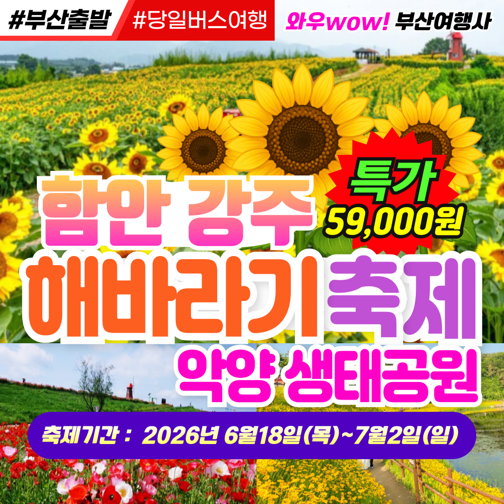 [부산출발] 함안 강주 해바라기축제 악양 생태공원 당일 버스여행