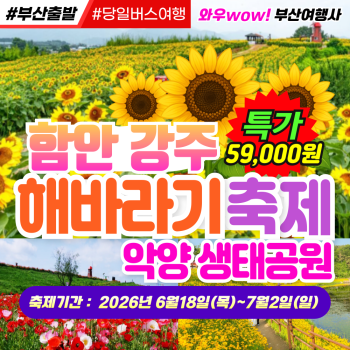 [부산출발] 함안 강주 해바라기축제 악양 생태공원 당일 버스여행