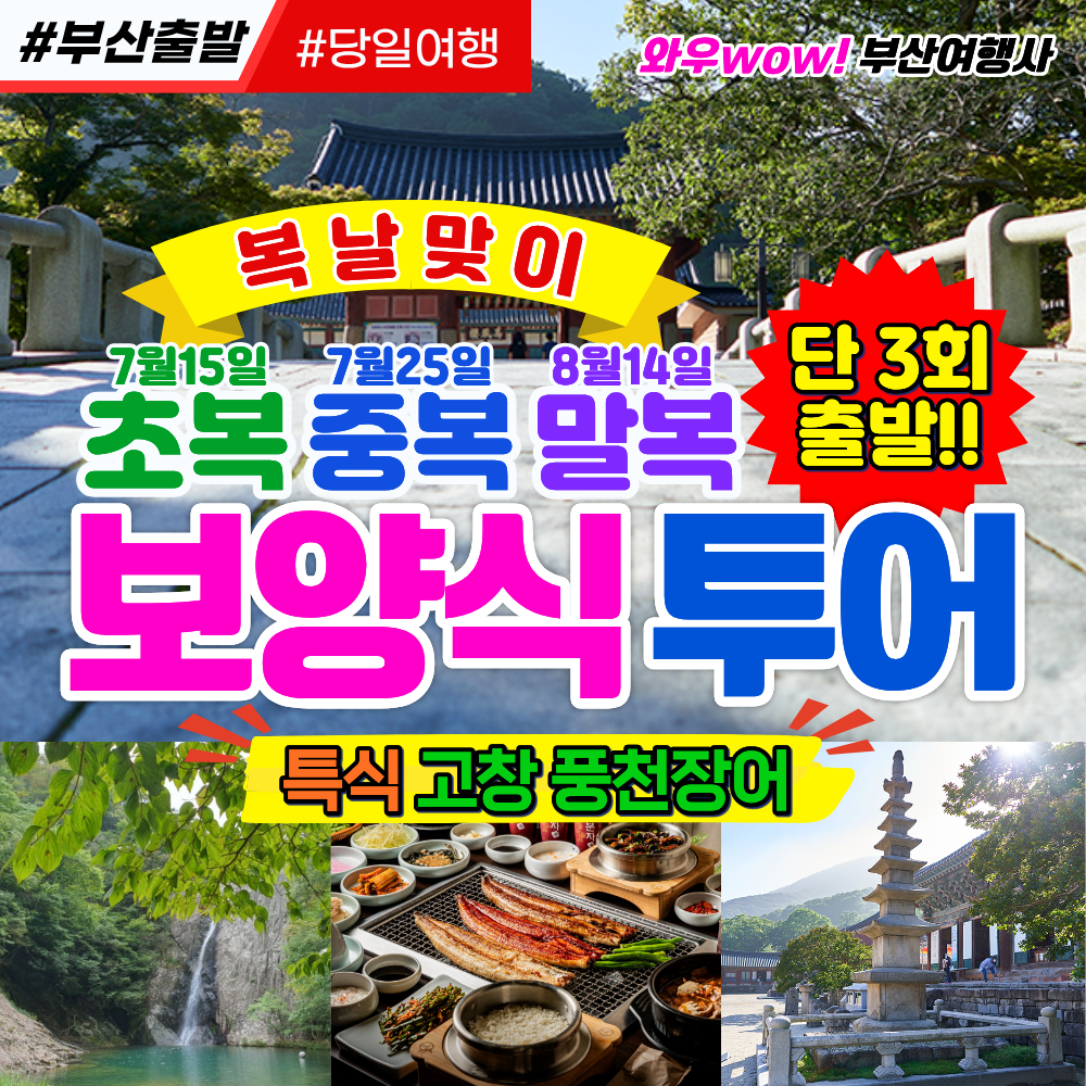 [부산출발] 복날맞이!! 초복.중복.말복 보양식 투어 당일버스여행