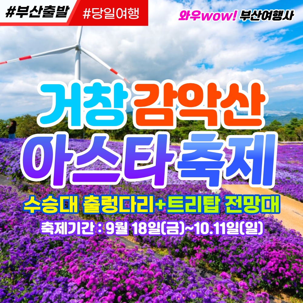 [부산출발] 거창 감악산 아스타 축제 당일버스여행