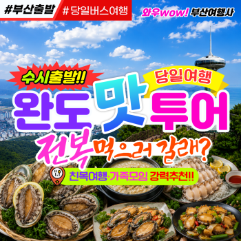 [부산출발] 완도 맛 투어 당일버스여행 전복 먹으러 갈래?