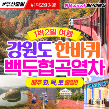 [부산출발 ] 강원도 한바퀴 백두대간 협곡열차 1박2일