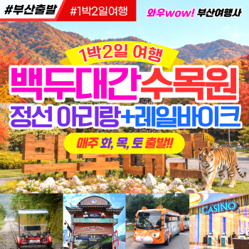 [부산출발 ] 백두대간 수목원 정선아리랑 한바퀴 1박2일