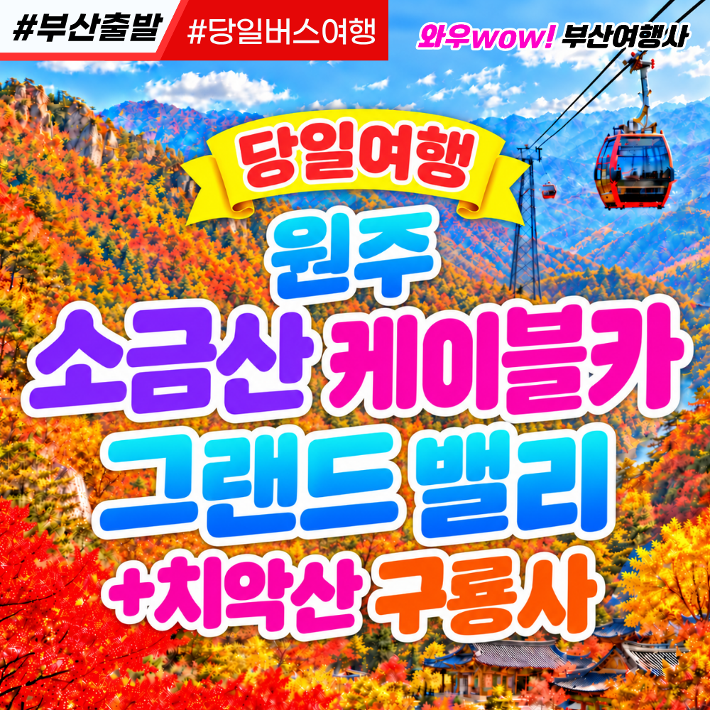 [부산출발] 원주 소금산 케이블카, 소금산그랜드밸리+치악산 구룡사 당일 테마여행 버스투어